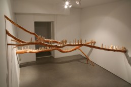 Migration